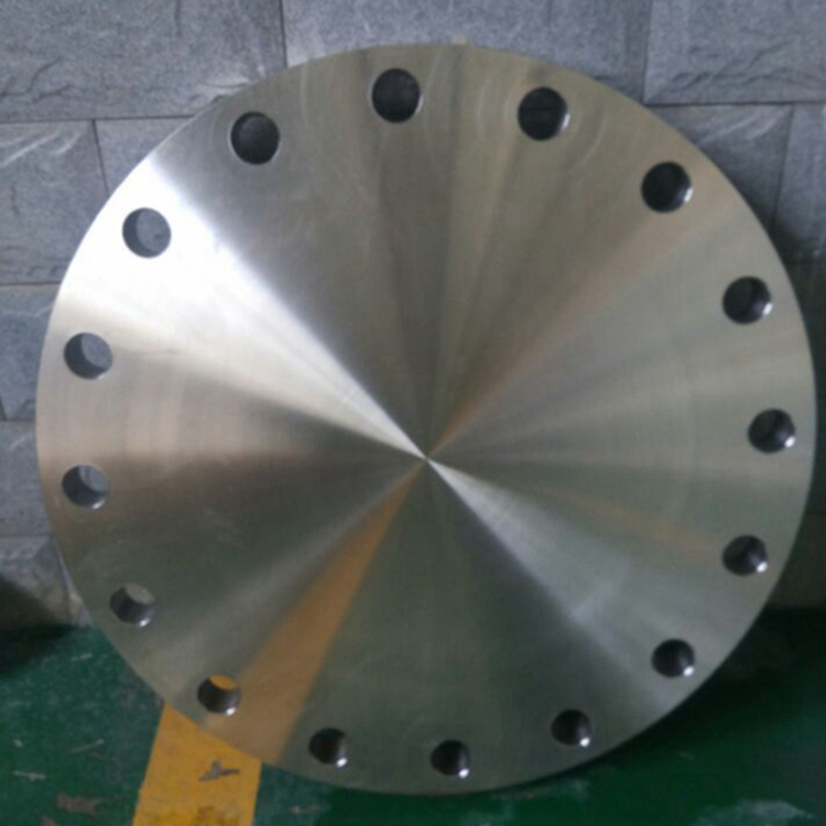 titanium blind flange.jpg